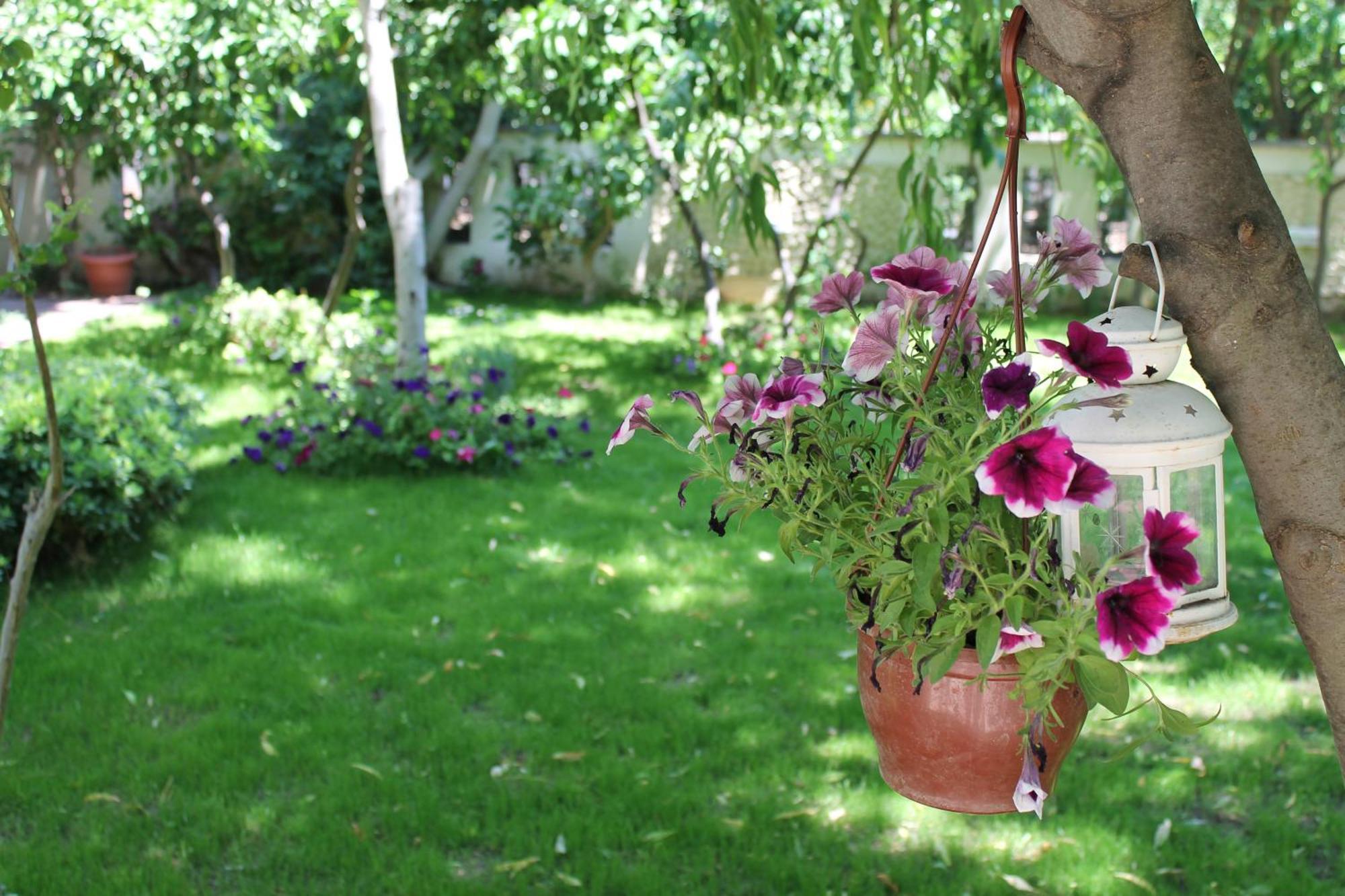 Bella Garden Hotel Bodrum Dış mekan fotoğraf