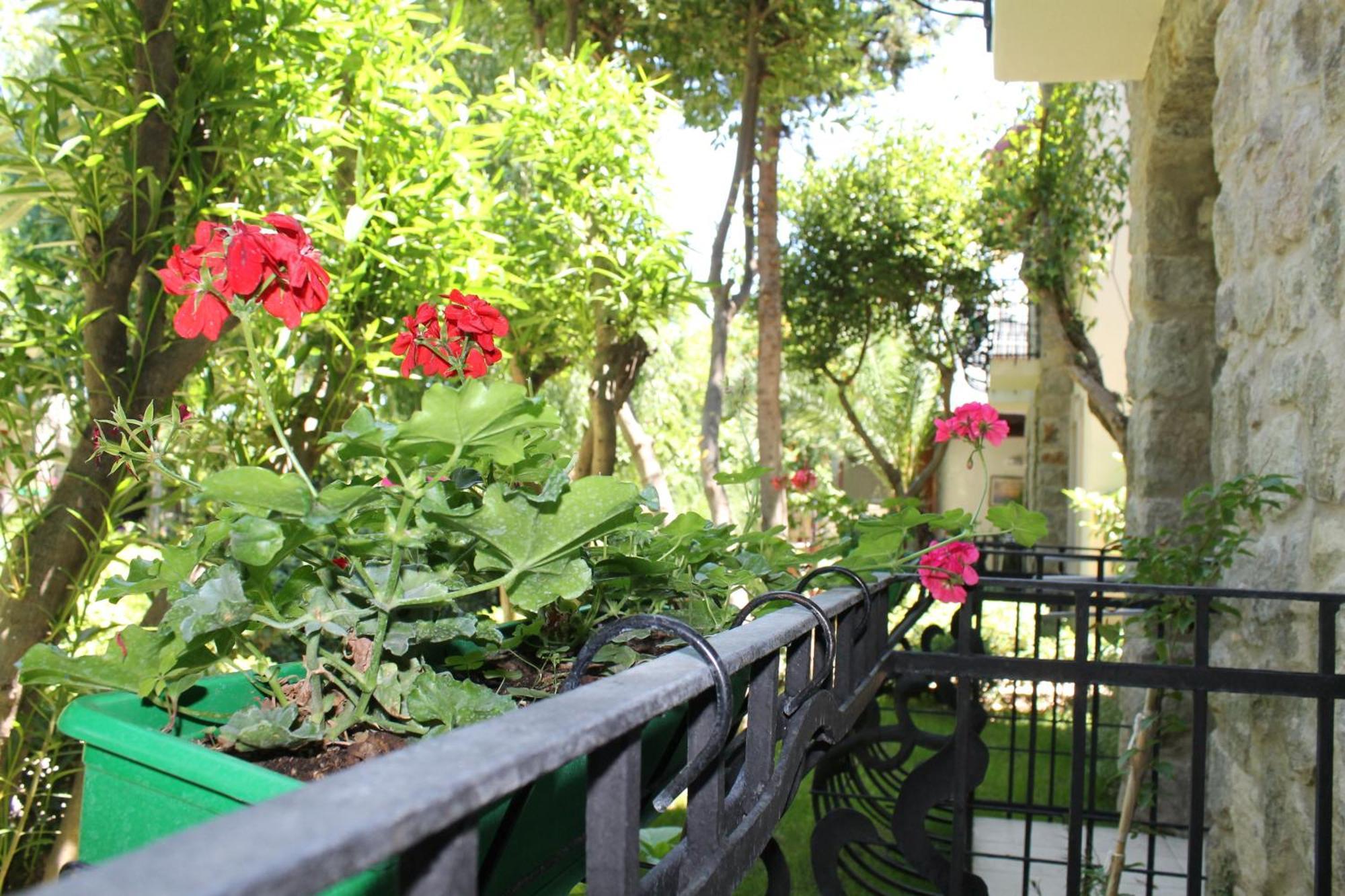 Bella Garden Hotel Bodrum Dış mekan fotoğraf
